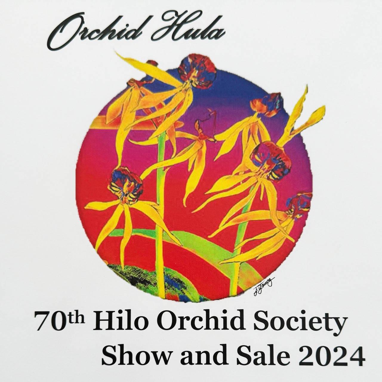 Hilo Orchid Show 2024 Special Carmela Orchids Inc